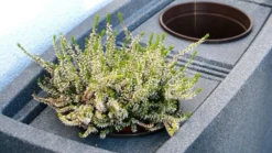 275L Noblesse Decorative Water Butt - Charcoal -EcoGrow Store 9000357k noblesse charcoal detail 3 16x9 900x506 jpg