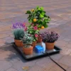 Automatic Plant Watering System Tray -EcoGrow Store automatic watering system tray original organics a jpg