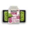 Micro-Grow Kit - Basil -EcoGrow Store basil classic jpg