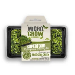 Micro-Grow Kit - Broccoli Green