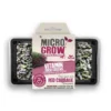 Micro-Grow Kit - Red Cabbage
