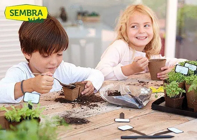 Sembra Kids Corn For Popcorn Vegetable Garden Growing Kit 6 Sembra Kids Corn For Popcorn Vegetable Garden Growing Kit - Image 4