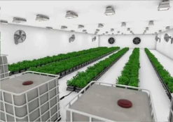 Automatic Planted Watering System - Easy2Grow Kit -EcoGrow Store veg phase ii option 2 high res jpg