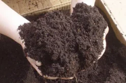 Living Green Worm Compost 100% Organic Vermicompost 40L Bag 9 Living Green Worm Compost 100% Organic Vermicompost 40L Bag -EcoGrow Store worm castings 1 jpg